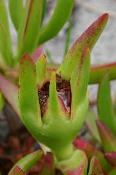 Image: Trevor James © Trevor James 